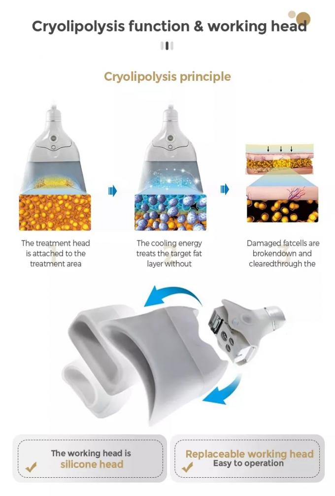 Melhor tratamento de congela&ccedil;&atilde;o de gordura para destruir permanentemente as c&eacute;lulas de gordura