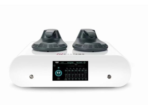 2 Rf Handles Portable Ems Body Sculpting Machine Emslim Mini Home Muscle Building Ems Abs Sculpt Device For Sale