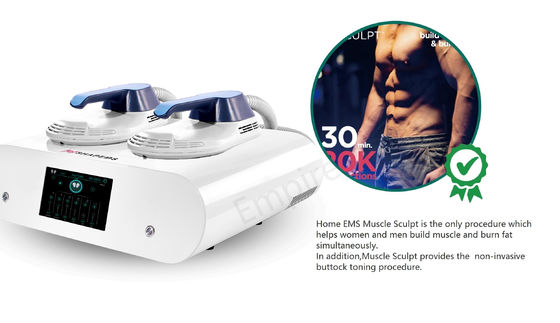 Home Use 2 Handles EMS Slim Body Machine Emslim Ems Slimming Fat Reduction Muscle Building Butt Toning