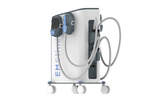CE Ems Body Slim Machine Neo Emslimming Em Body Sculpting Equipment On Sale Price