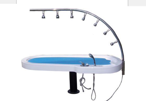 Hydrotherapy Vichy Shower 7 heads Seven Water Jets Water Massage Bed